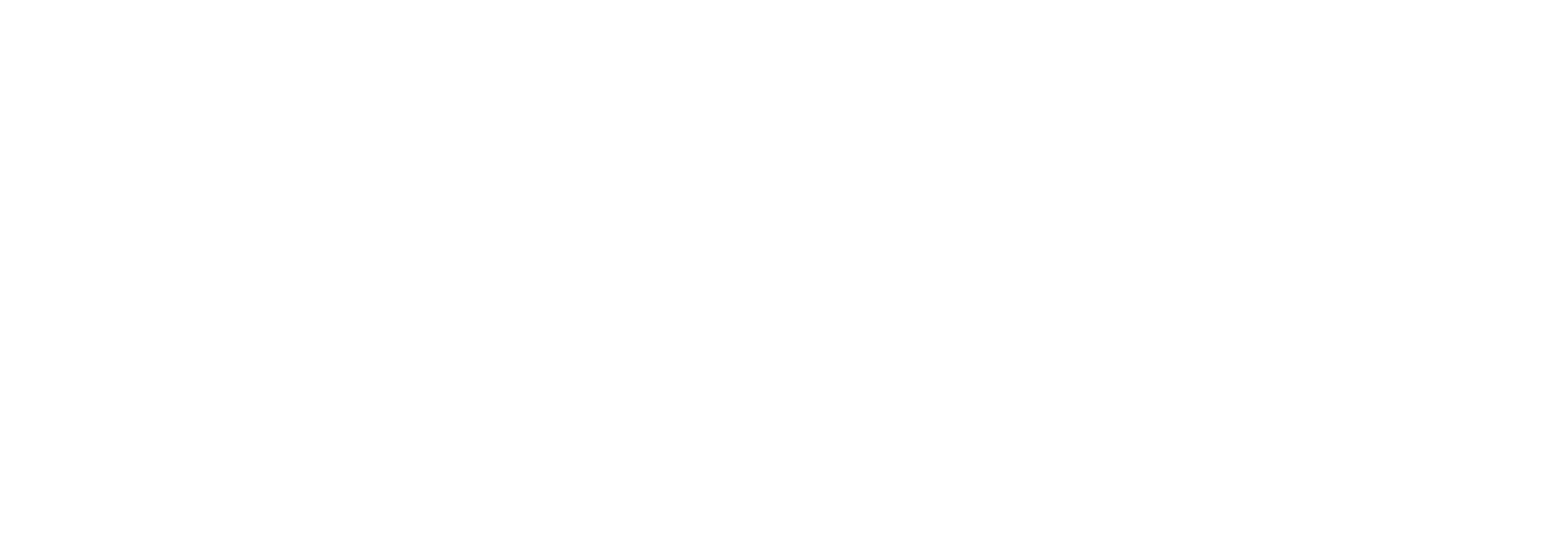 Irina Vasconcelos Official Website